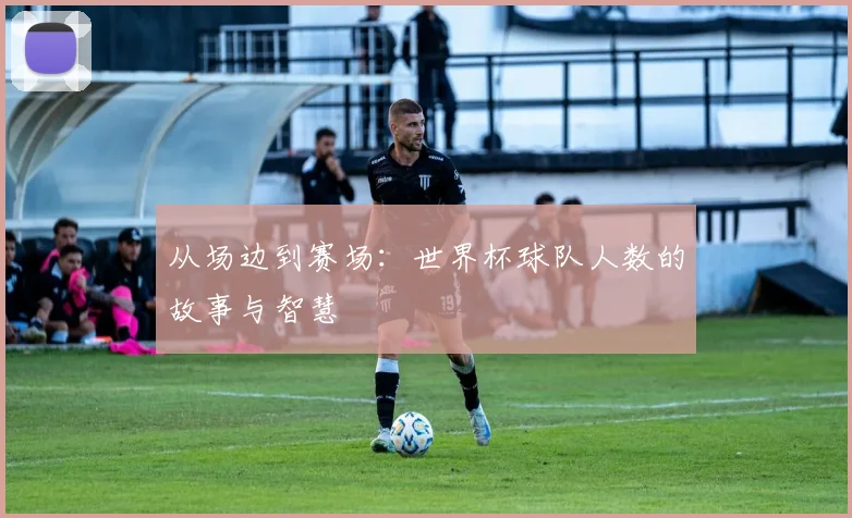 从场边到赛场：世界杯球队人数的故事与智慧