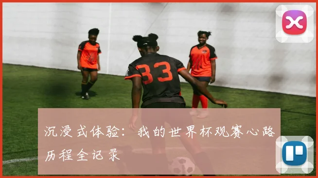 沉浸式体验：我的世界杯观赛心路历程全记录