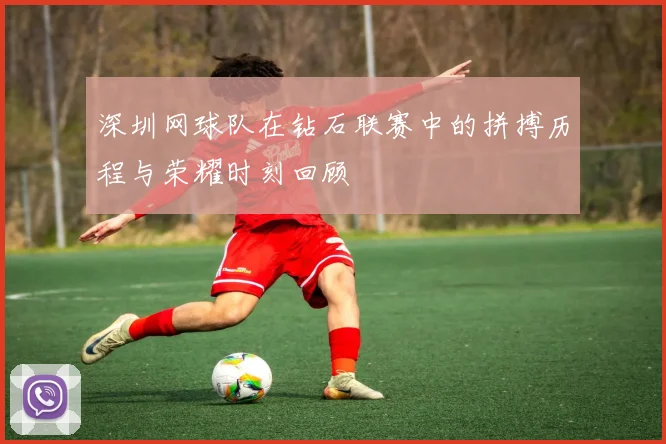 深圳网球队在钻石联赛中的拼搏历程与荣耀时刻回顾