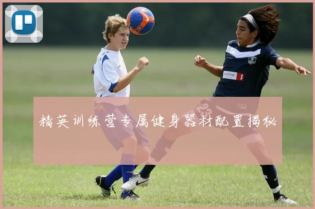 精英训练营专属健身器材配置揭秘