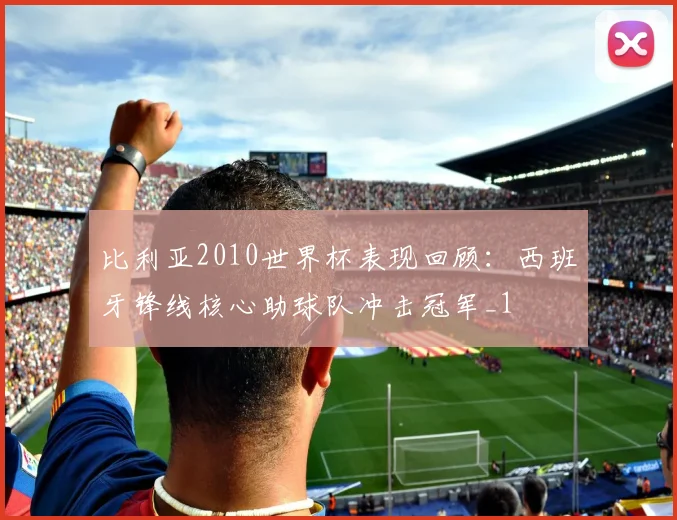 比利亚2010世界杯表现回顾：西班牙锋线核心助球队冲击冠军_1